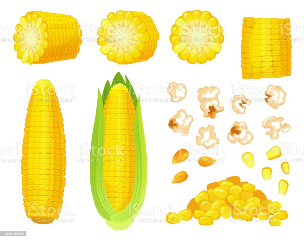 Detail Gambar Kartun Jagung Nomer 40