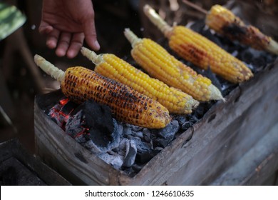 Detail Gambar Kartun Jagung Bakar Nomer 11