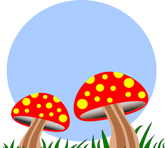 Detail Gambar Kartun Jamur Mushroom Koleksi Nomer 19