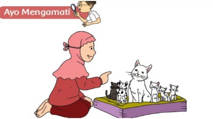 Detail Gambar Kartun Kelas 3 Nomer 52