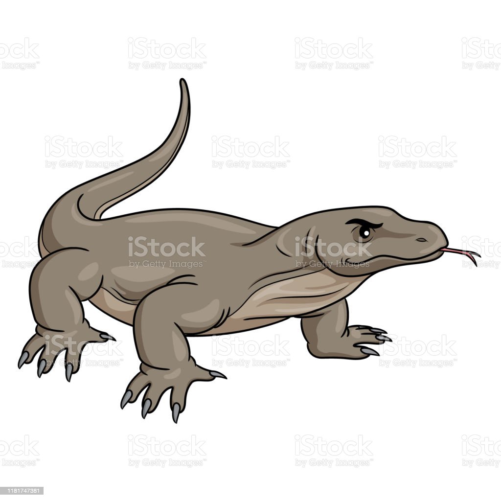 Gambar Kartun Komodo - KibrisPDR