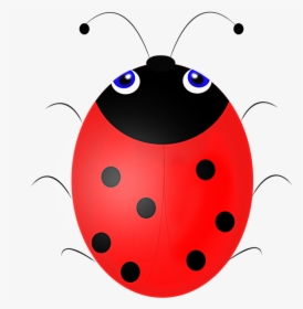 Detail Gambar Kartun Ladybug Nomer 16