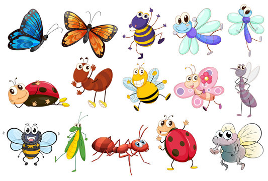 Detail Gambar Kartun Ladybug Nomer 48