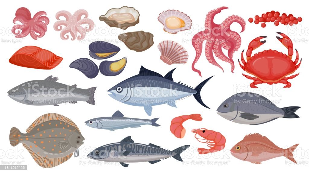 Detail Gambar Kartun Laut Dan Ikan Nomer 40