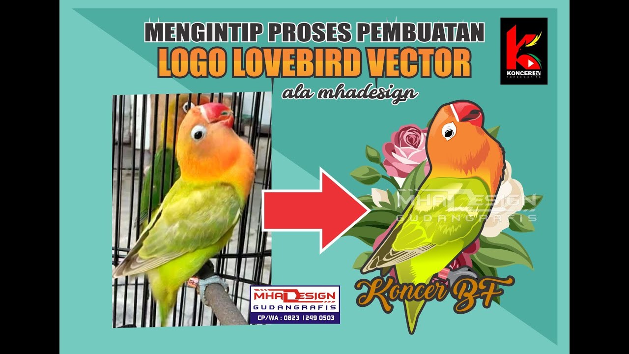 Detail Gambar Kartun Lovebird Ngekek Nomer 57