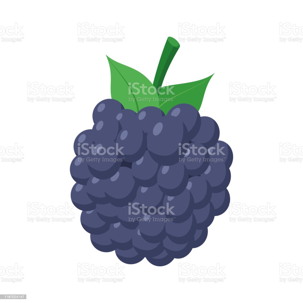 Detail Gambar Kartun Lucu Blackberry Nomer 3