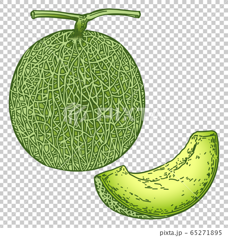 Detail Gambar Kartun Melon Nomer 38