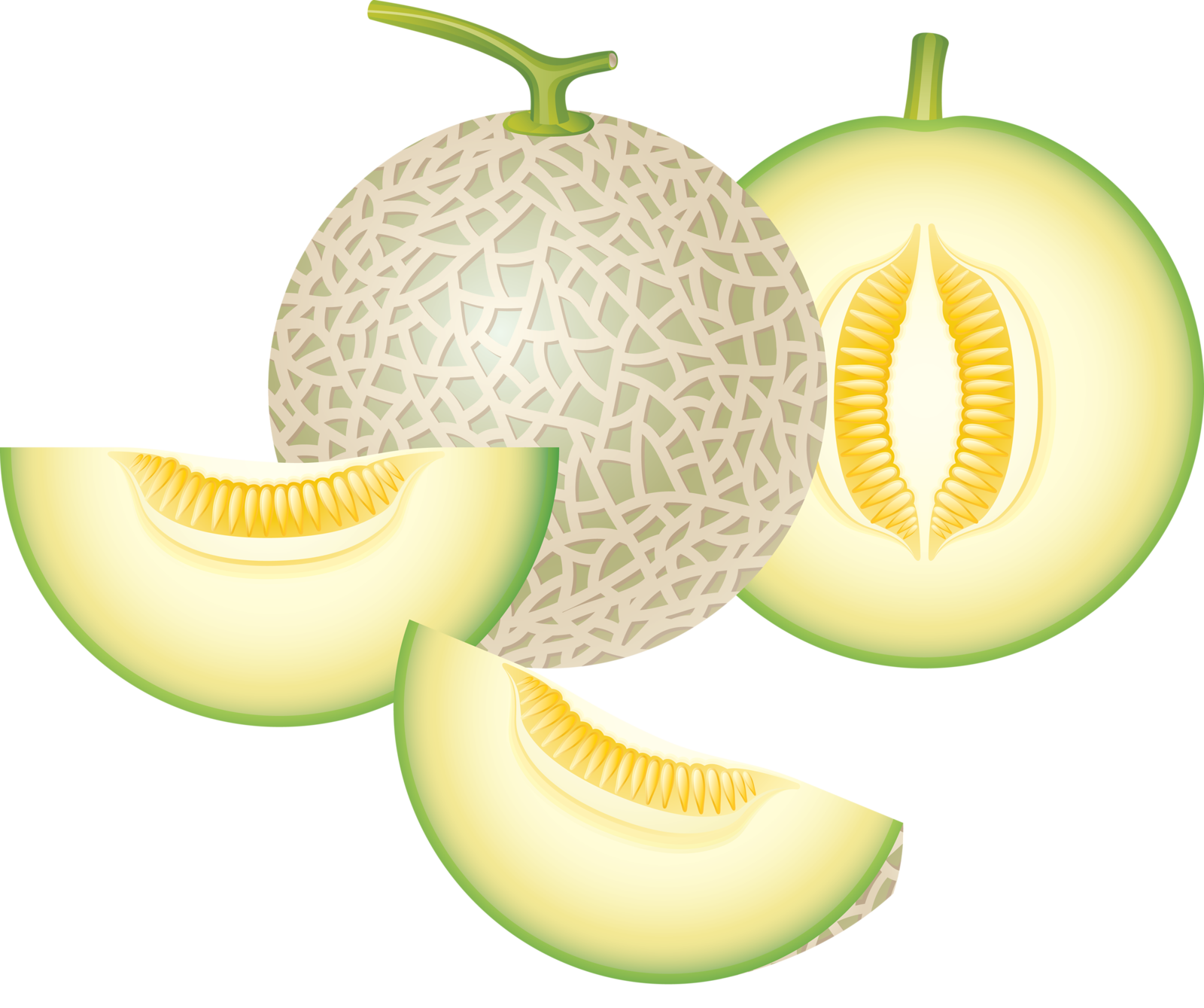 Detail Gambar Kartun Melon Nomer 43