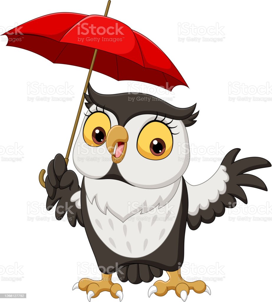 Download Gambar Kartun Owl Nomer 40