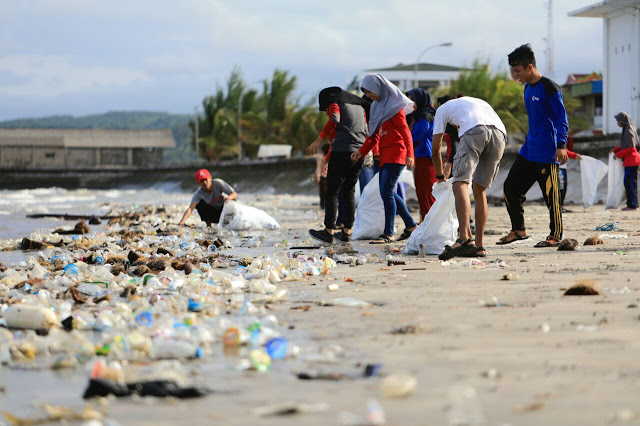 Detail Gambar Kartun Pantai Bersih Nomer 24