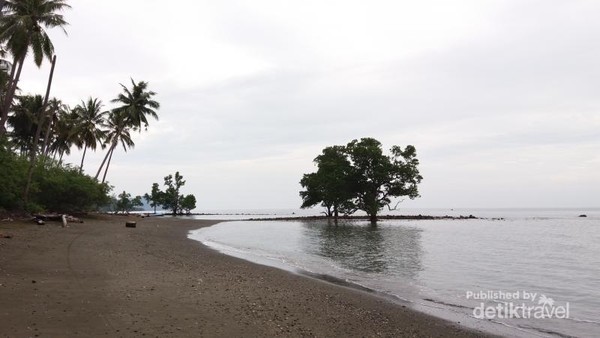 Detail Gambar Kartun Pantai Bersih Nomer 48