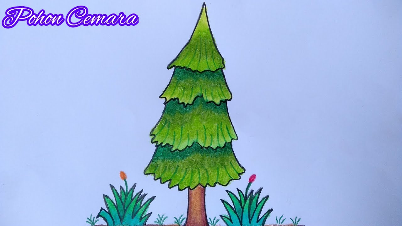 Detail Gambar Kartun Pohon Cemara Nomer 5