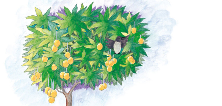 Detail Gambar Kartun Pohon Mangga Nomer 11