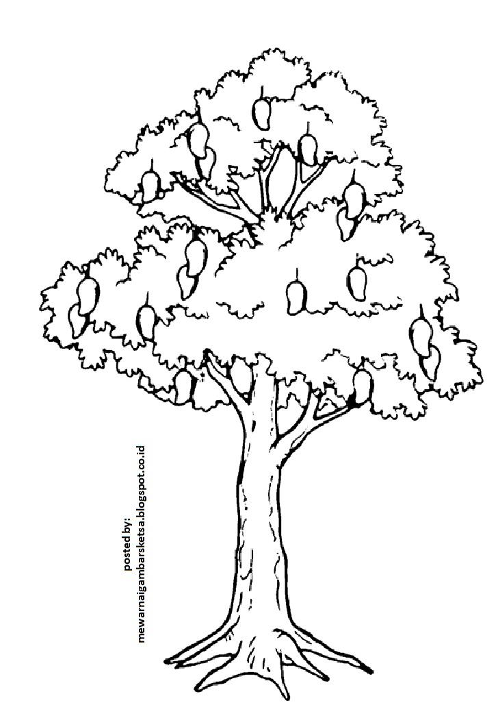 Detail Gambar Kartun Pohon Mangga Nomer 29