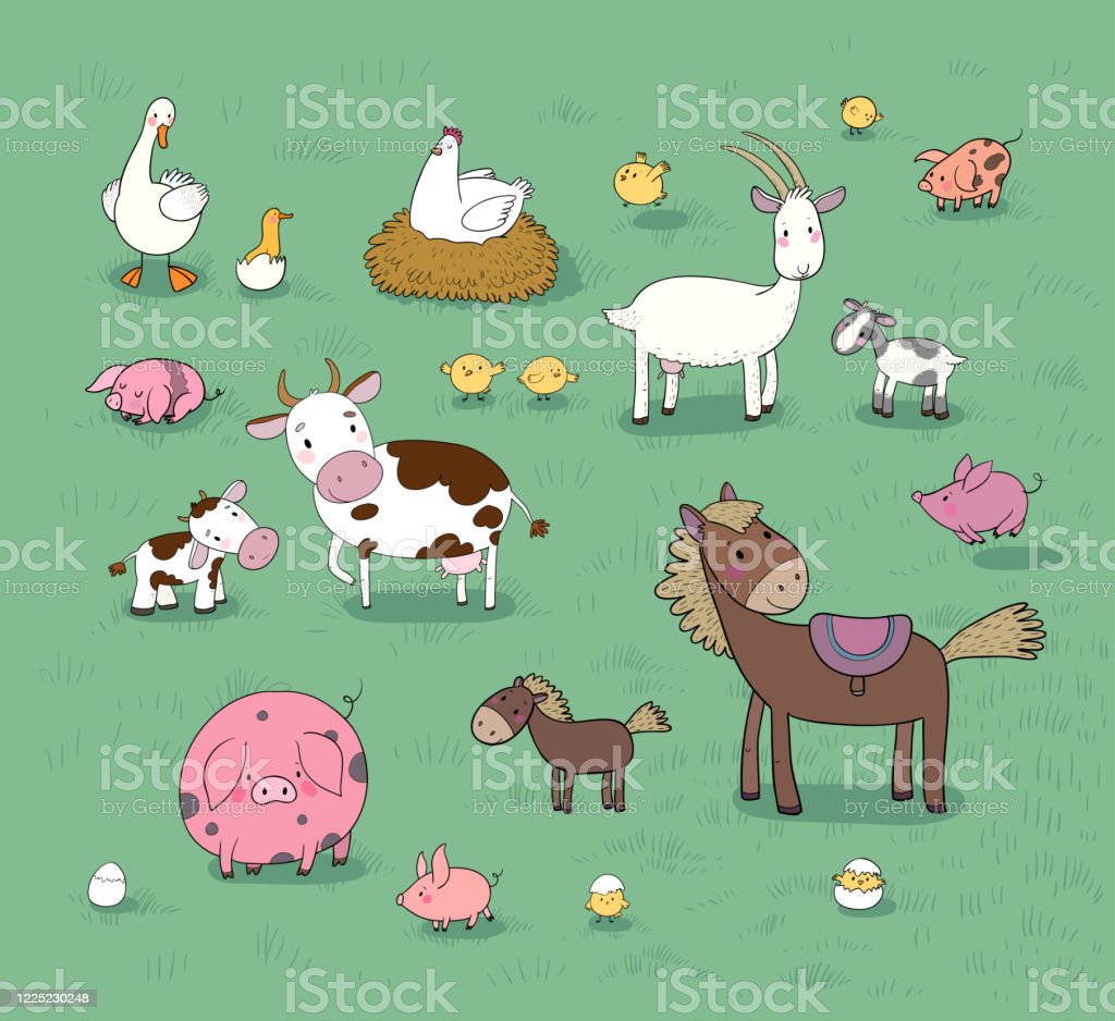 Detail Gambar Kartun Sapi Dan Kambing Nomer 29