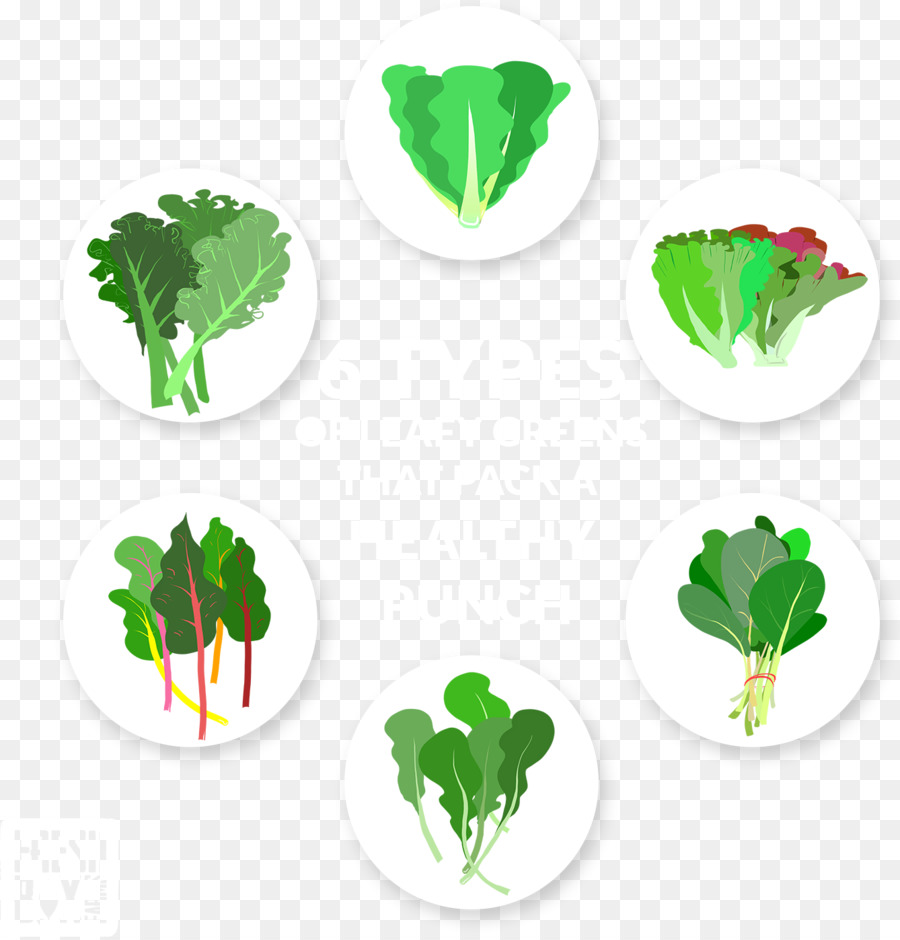 Detail Gambar Kartun Sawi Daging Png Nomer 14