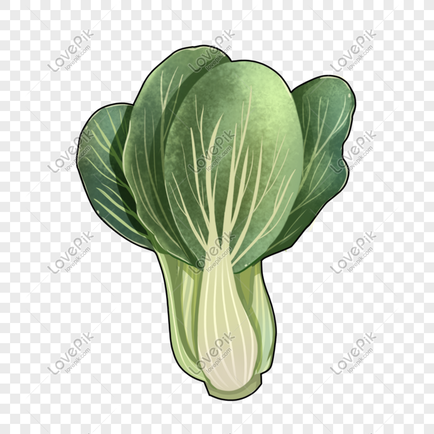 Detail Gambar Kartun Sawi Daging Png Nomer 15