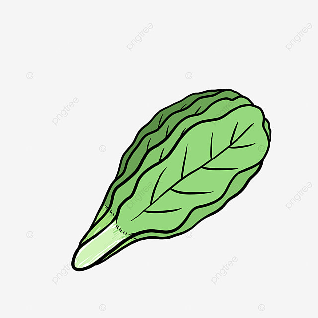 Detail Gambar Kartun Sawi Daging Png Nomer 4