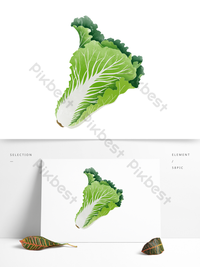 Detail Gambar Kartun Sawi Daging Png Nomer 31