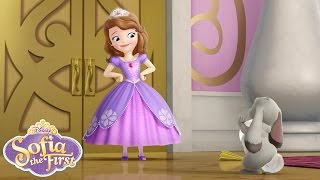 Detail Gambar Kartun Sofia The First Nomer 22