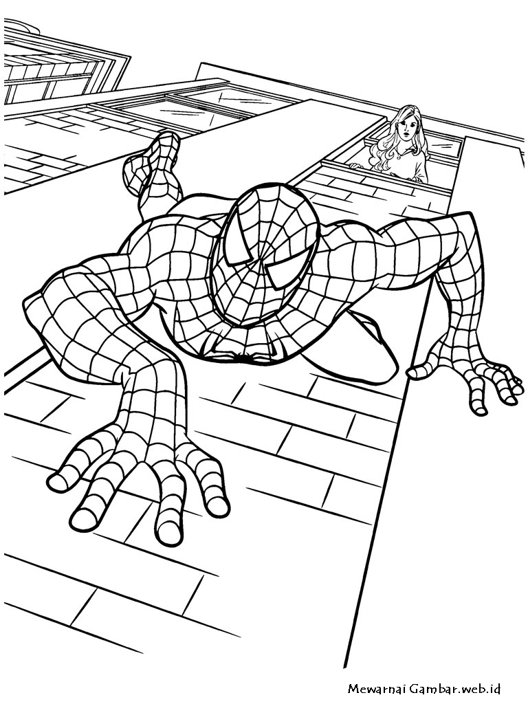 Detail Gambar Kartun Spiderman Untuk Mewarnai Nomer 33