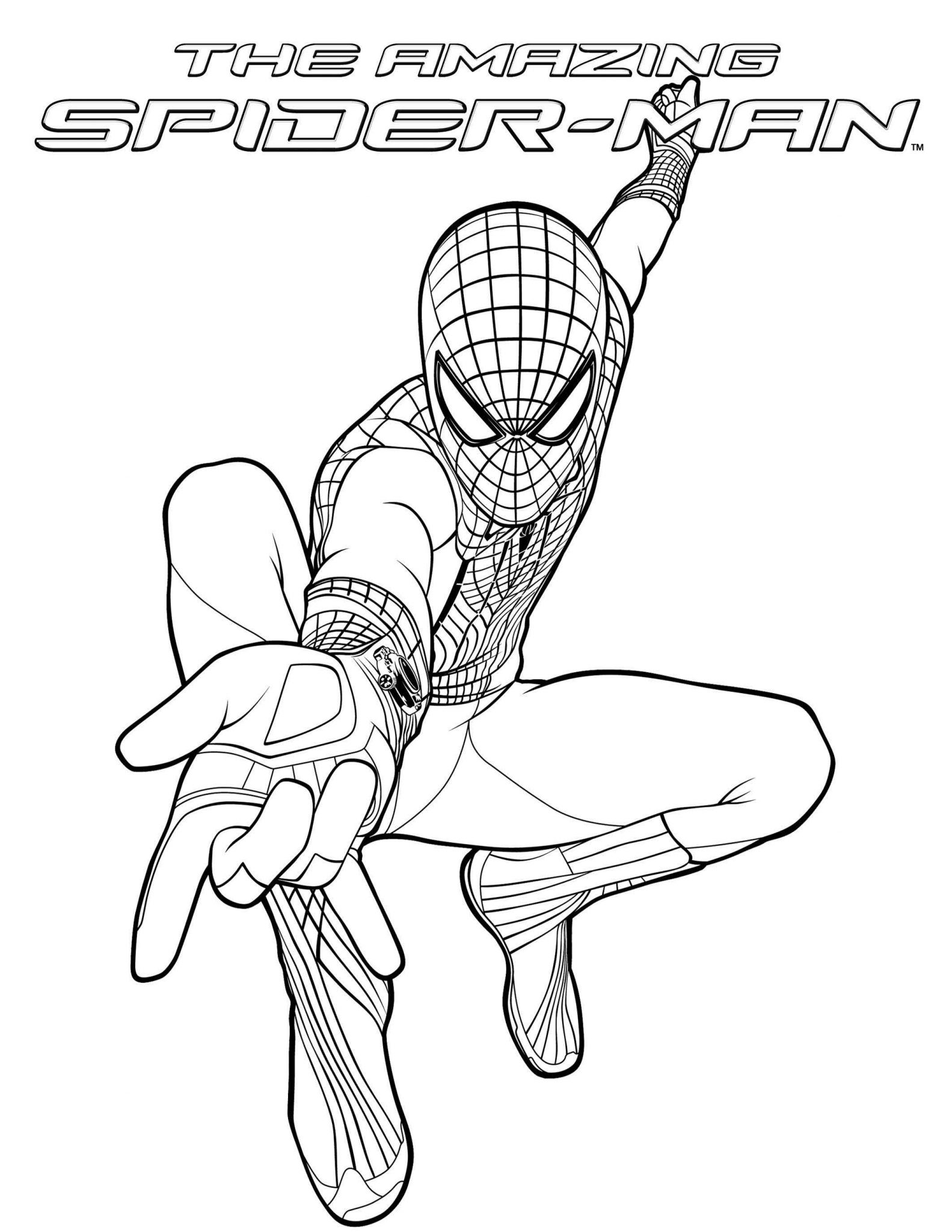 Detail Gambar Kartun Spiderman Untuk Mewarnai Nomer 46