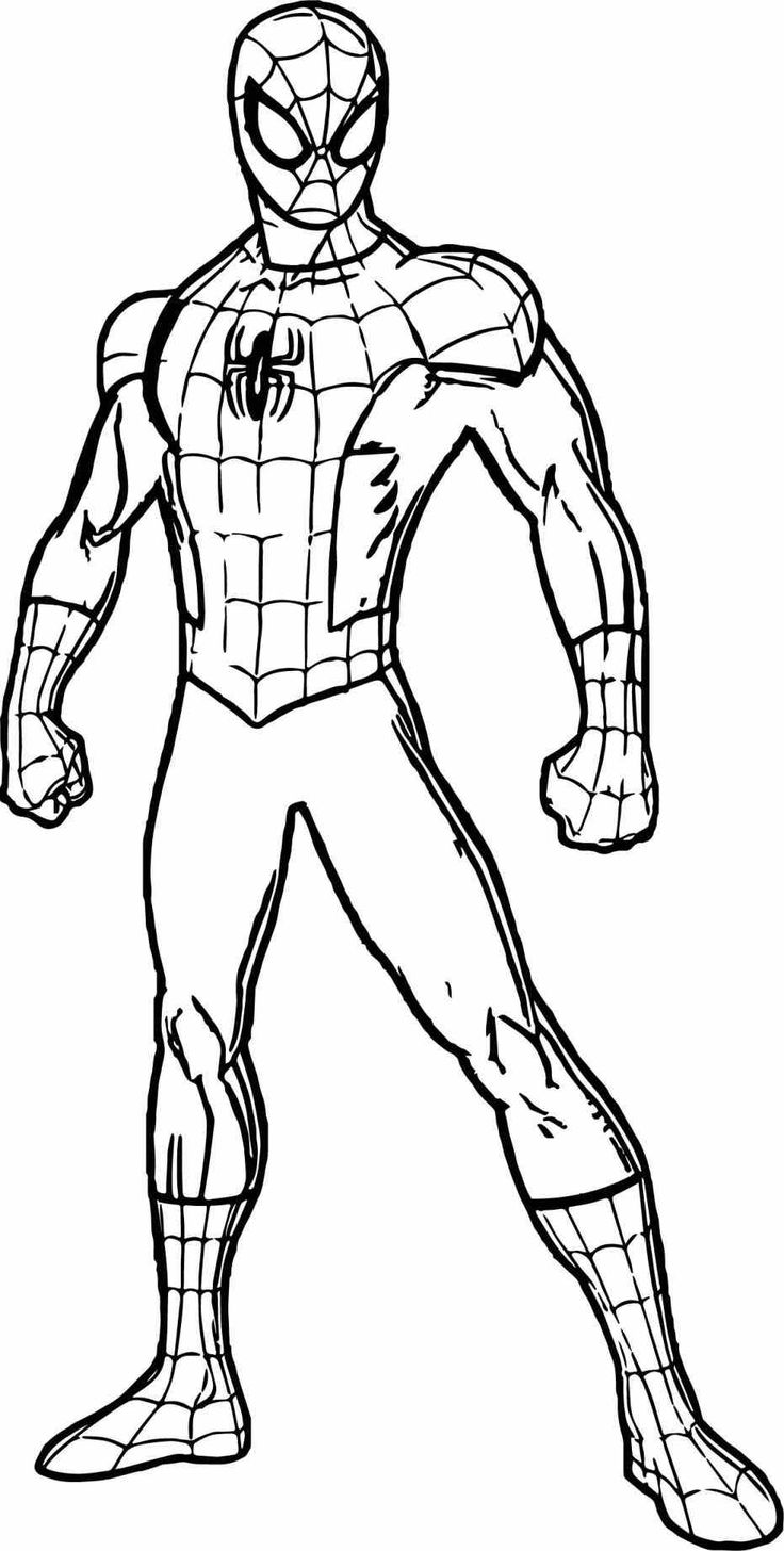 Detail Gambar Kartun Spiderman Untuk Mewarnai Nomer 6