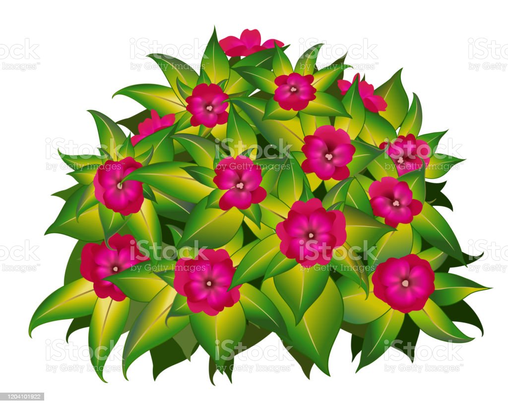 Download Gambar Kartun Tumbuhan Bunga Nomer 53