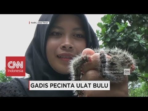 Detail Gambar Kartun Ulat Gambar Hitam Putih Ulat Lucu Nomer 49