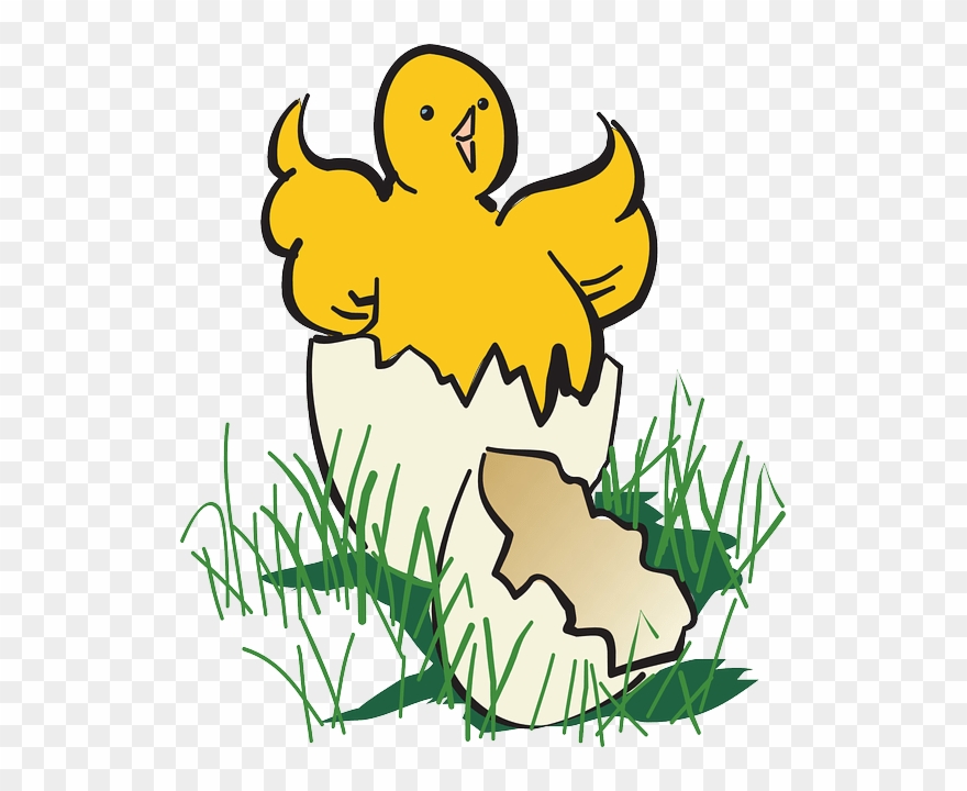 Detail Gambar Karun Ayam Dalam Tuduang Nomer 8
