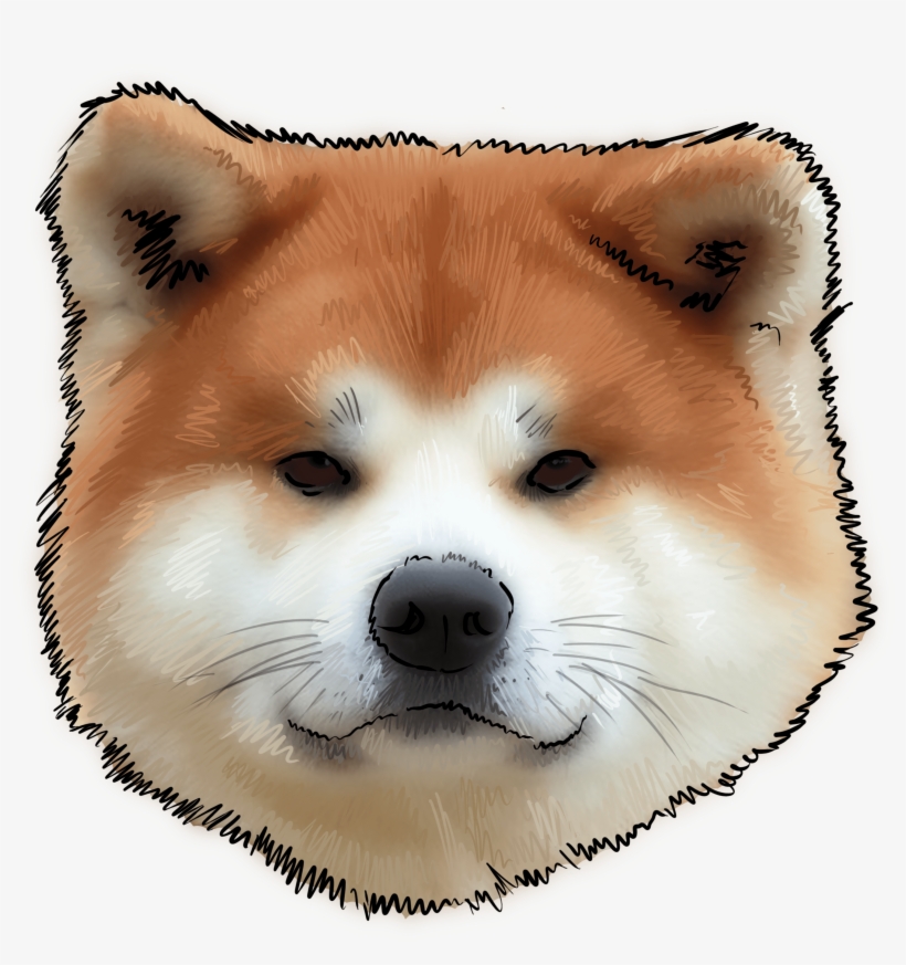 Detail Akita Inu Bilder Nomer 25