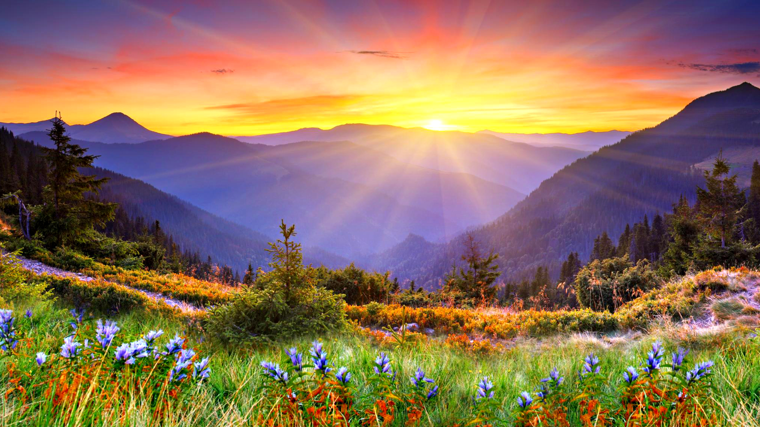 Detail Amazing Sunrise Hd Wallpapers Nomer 6