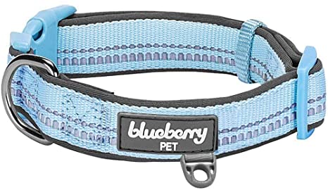 Amazon Blueberry Dog Collars - KibrisPDR