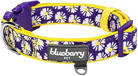 Detail Amazon Blueberry Dog Collars Nomer 13