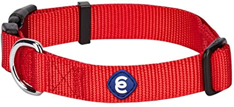 Detail Amazon Blueberry Dog Collars Nomer 14