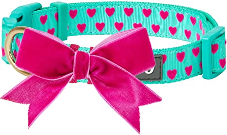 Detail Amazon Blueberry Dog Collars Nomer 24