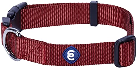 Detail Amazon Blueberry Dog Collars Nomer 28