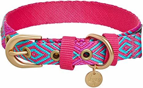 Detail Amazon Blueberry Dog Collars Nomer 30