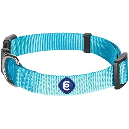 Detail Amazon Blueberry Dog Collars Nomer 4