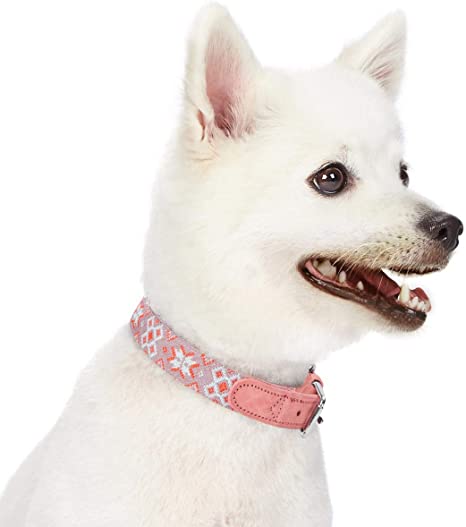 Detail Amazon Blueberry Dog Collars Nomer 31