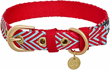 Detail Amazon Blueberry Dog Collars Nomer 33