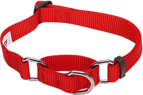 Detail Amazon Blueberry Dog Collars Nomer 44