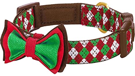 Detail Amazon Blueberry Dog Collars Nomer 47