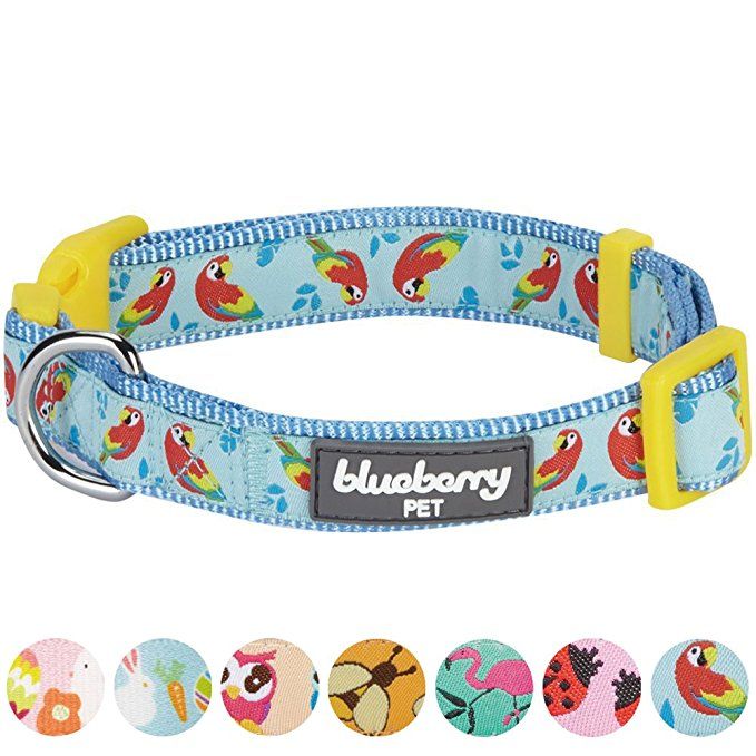 Detail Amazon Blueberry Dog Collars Nomer 50