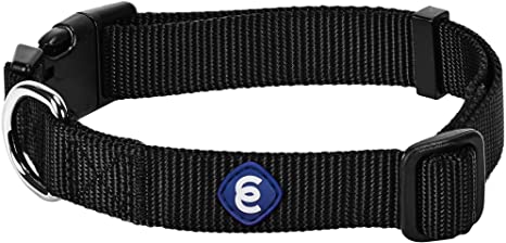 Detail Amazon Blueberry Dog Collars Nomer 9