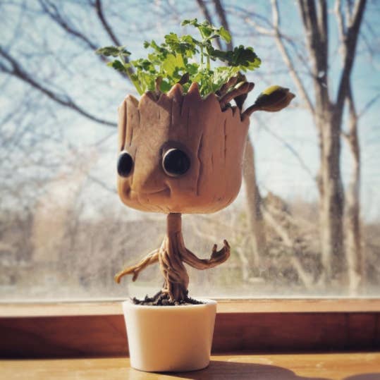 Detail Amazon Dancing Groot Nomer 27
