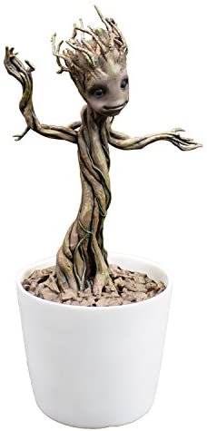 Detail Amazon Dancing Groot Nomer 32