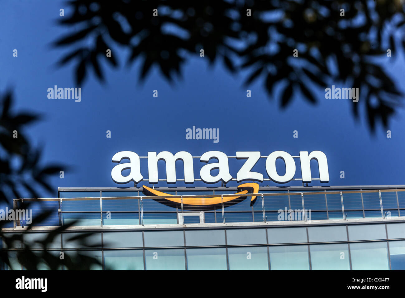 Detail Amazon Logo Nomer 49