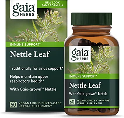 Detail Amazon Nettle Leaf Nomer 19