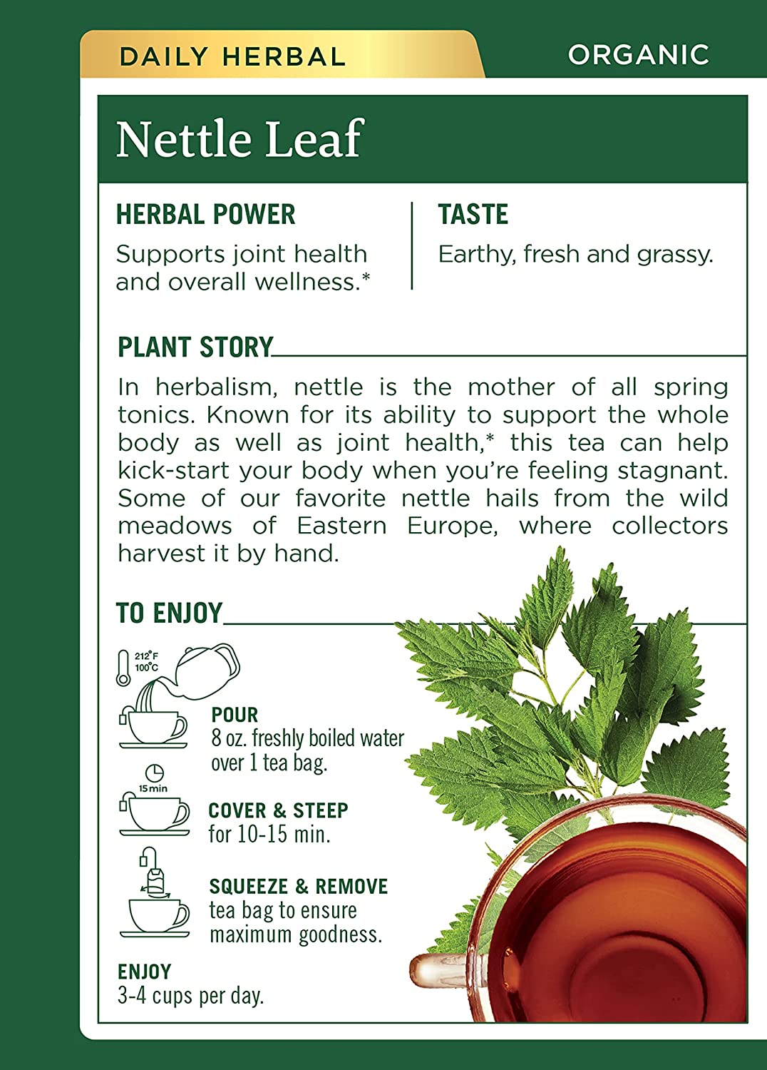Detail Amazon Nettle Leaf Nomer 35
